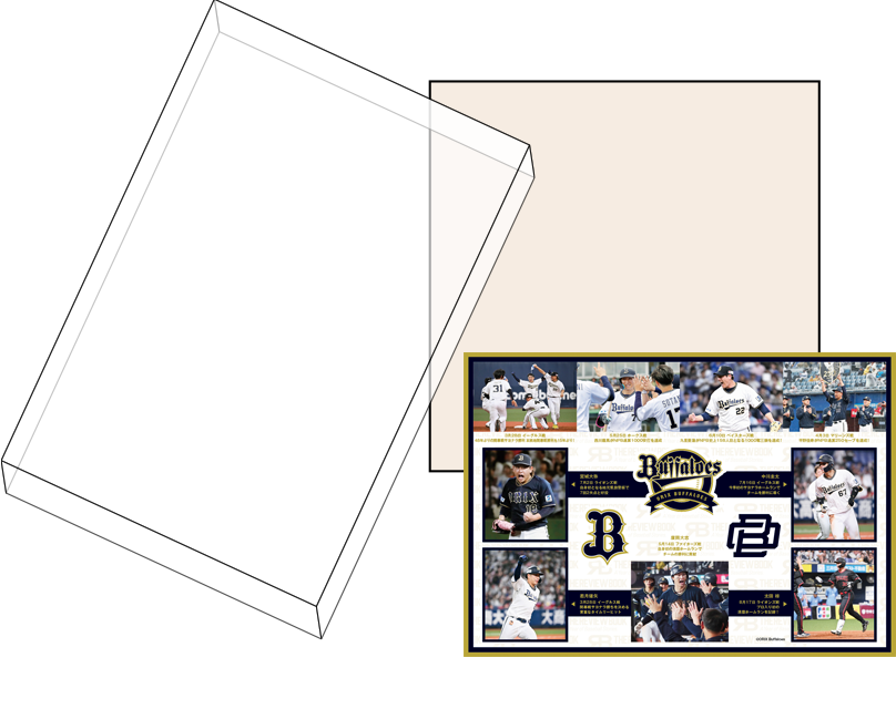 スペシャルアイテム内容